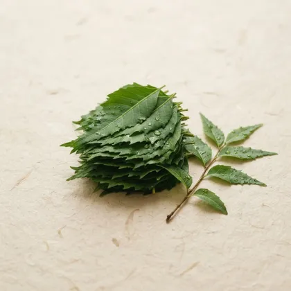 Neem (Azadirachta indica), componente declarado de D-Norm